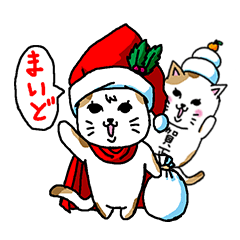 猫とクリスマスとお正月