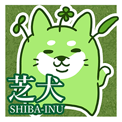 芝犬-SHIBA INU-