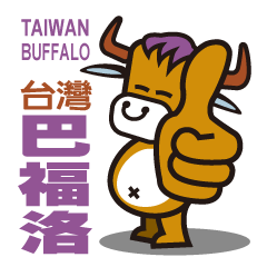 Taiwan Buffalo
