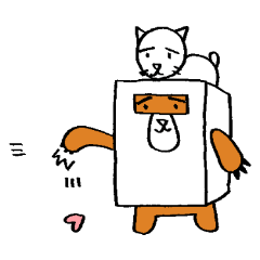 シロ箱クマと猫