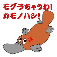 モグラちゃうわ！カモノハシ！