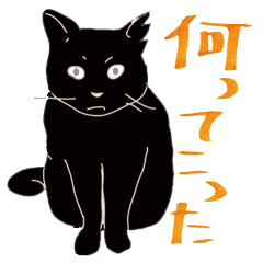 Black Cat Mimi