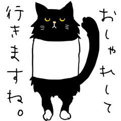 黒猫さんスタイリッシュ