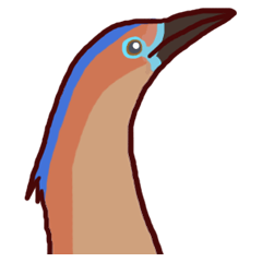 Big Bird (Gorsachius melanolophus)