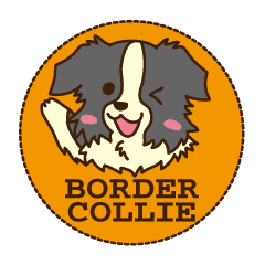 I love Border Collie!!
