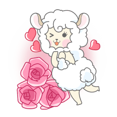 This sheep name is Sugar