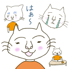 猫猫大家族01-長女ミミ編