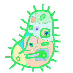 奇妙な微生物