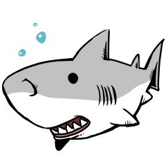 【ホホジロザメ】サメ【ホオジロザメ】