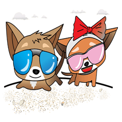 Cute Chihuahua dogs – best friends set