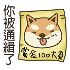 Shiba Inu(Shiba-Dog)super funny(V.3.0)