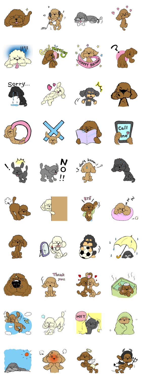 トイプー☆トイプードル祭り！