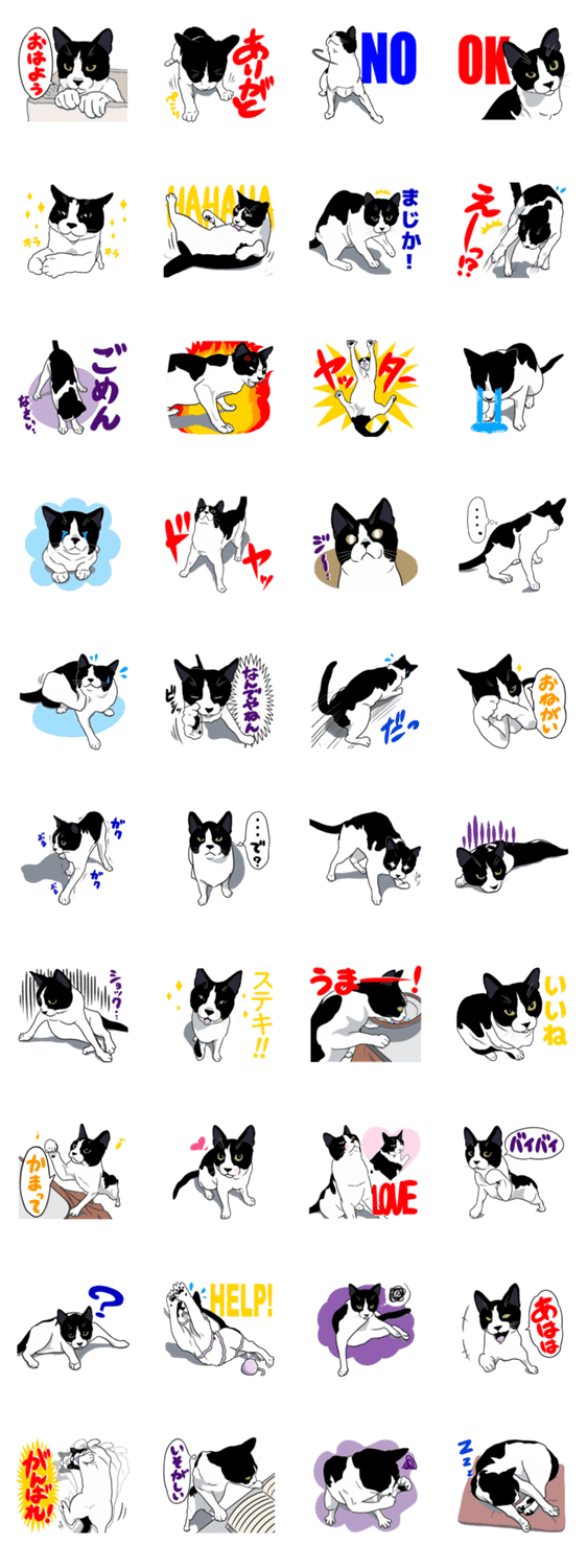 がんばるパピちゃん