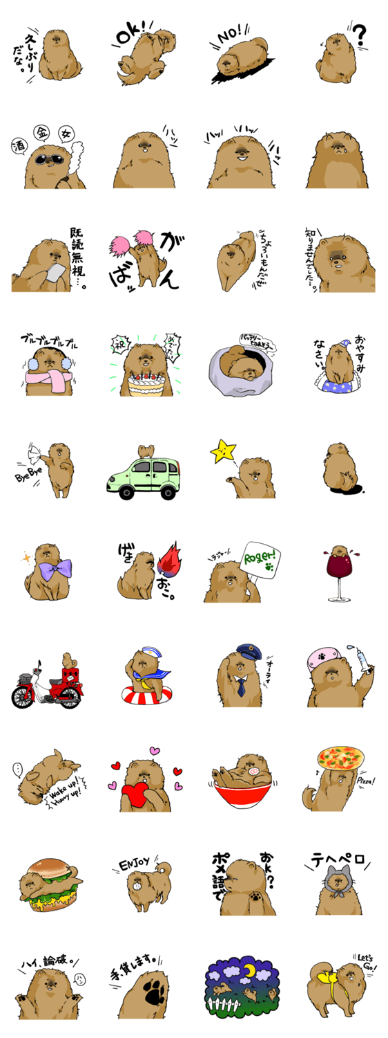 ポメラニアンのボン太くん