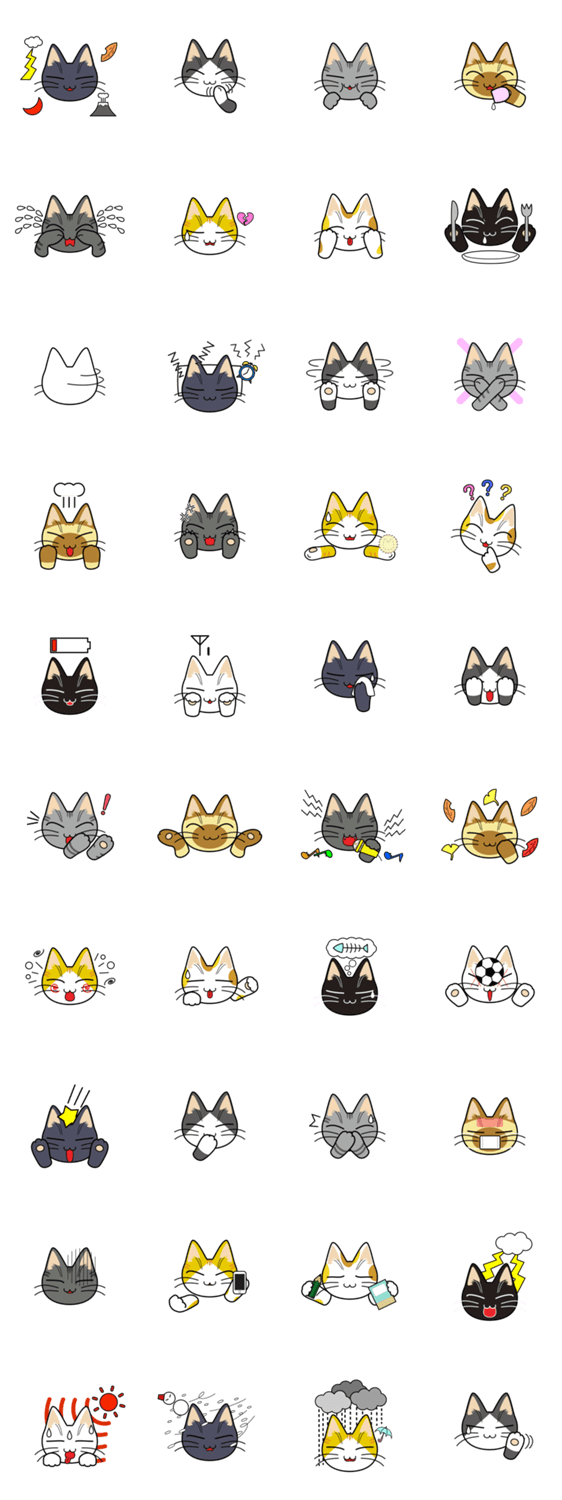 細い目の猫 〜ネガティブ〜