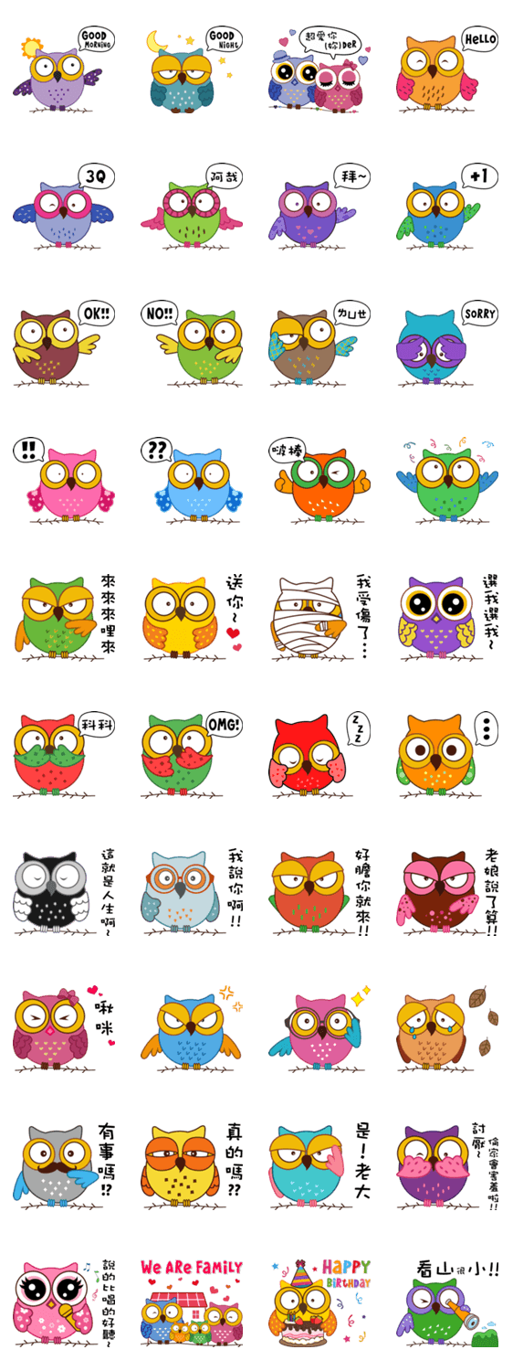 Owl Daily Life