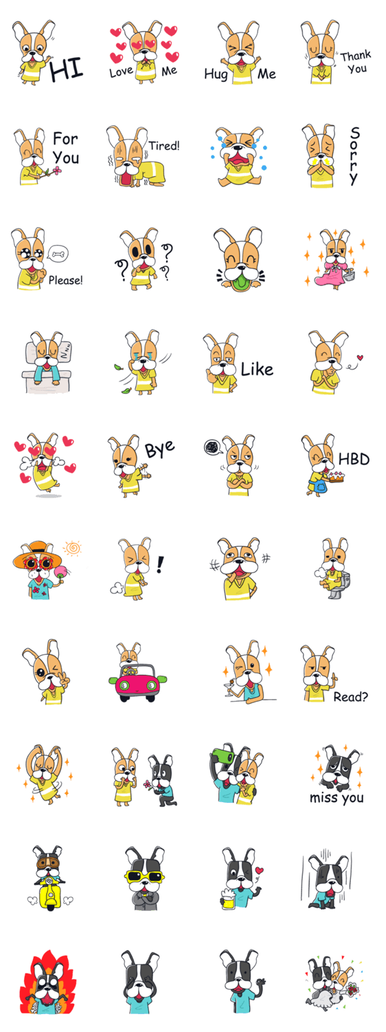 AUSTIN FRENCH BULLDOG