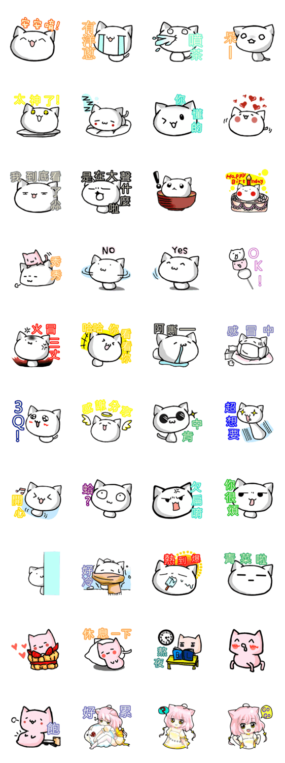 White and pink cat everyday