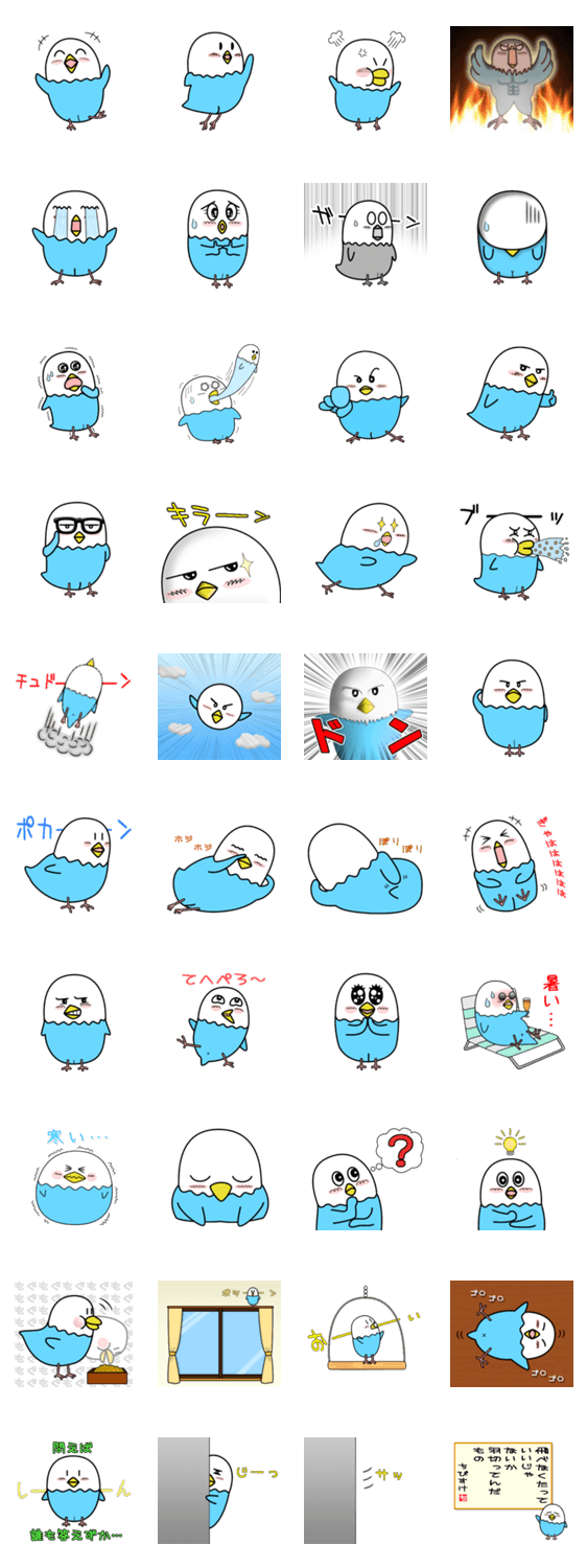 インコのちびすけ