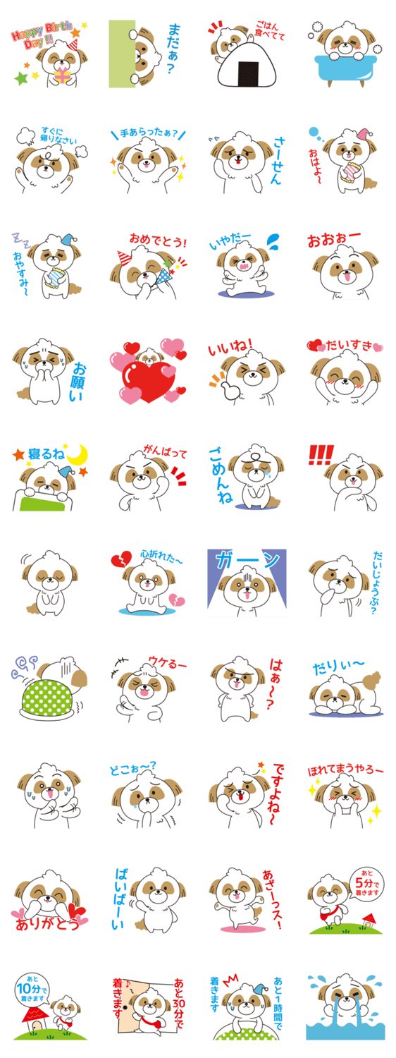 シーズーちゃん