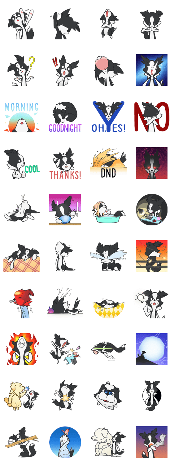 ボーダーコリーカイール