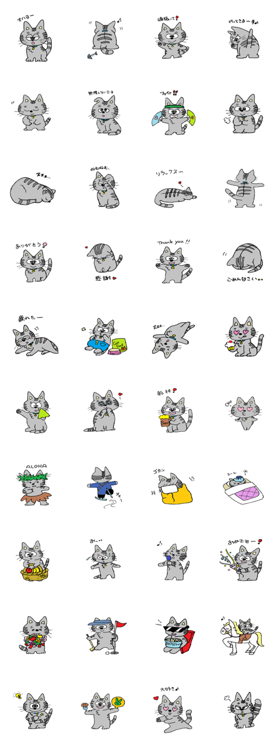 talkative cat, KEVIN