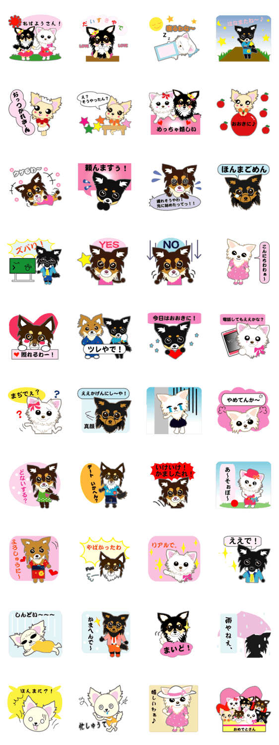 Chihuahua of Kansai dialect