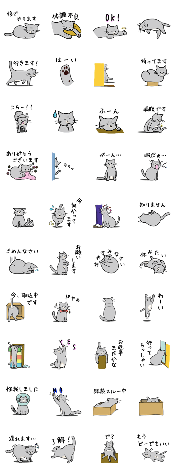 気まぐれなデブ猫