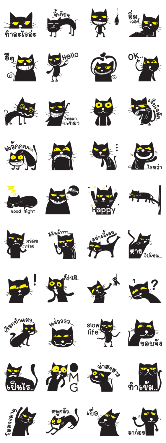Black Cat Indy