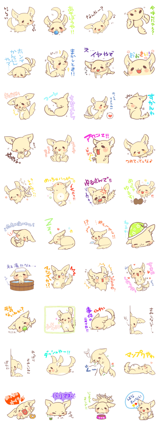 チワワやで！＠しっぽ屋さん