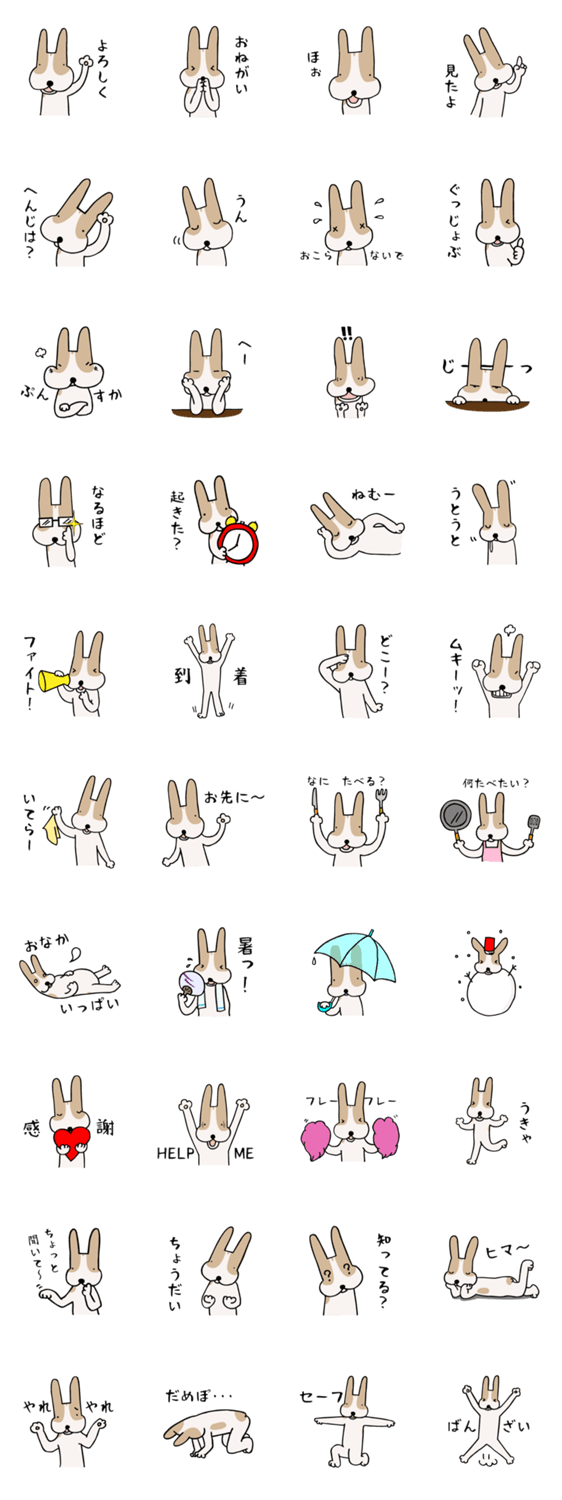 うちのこたろう  2