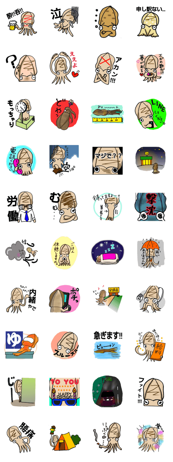 アオリイカ　エギング