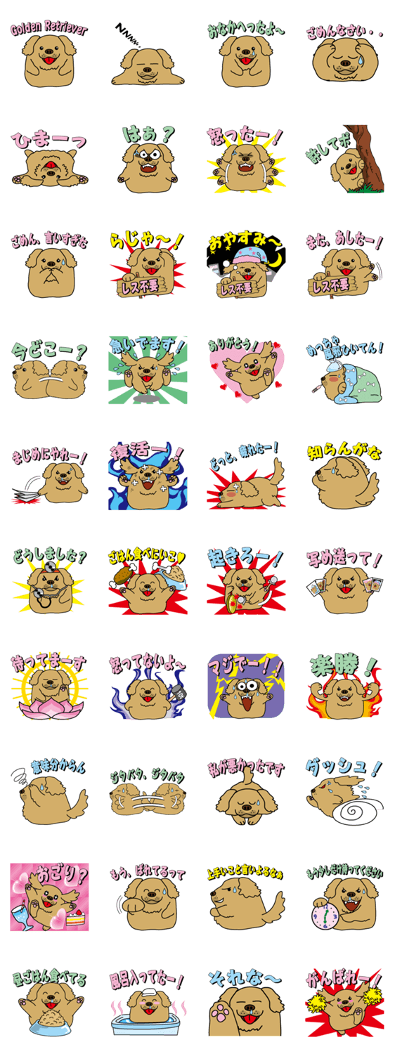 ゴールデンレトリバーのモモ