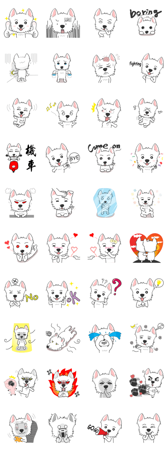 I LOVE West Highland White Terrier.