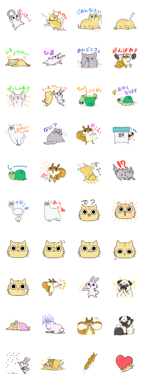 キョロ目のどうぶつたち