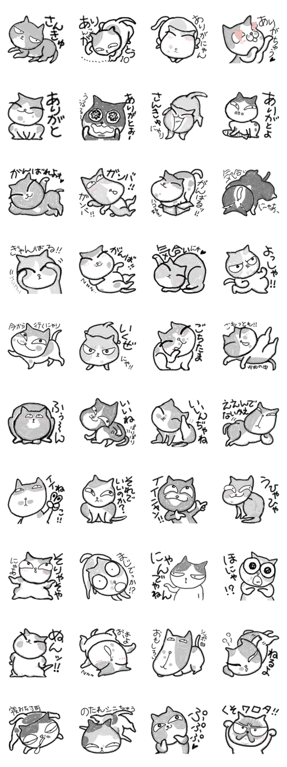 ハチワレねこのお喋り