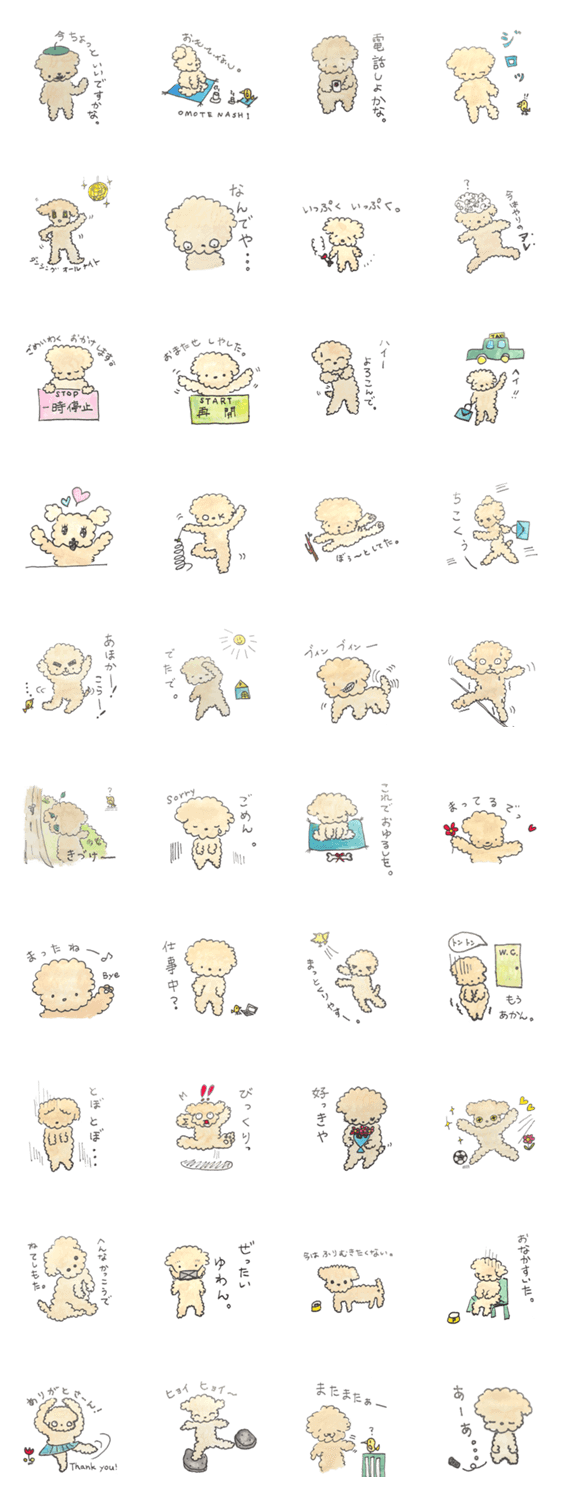 TCプードルの１日【日常編】