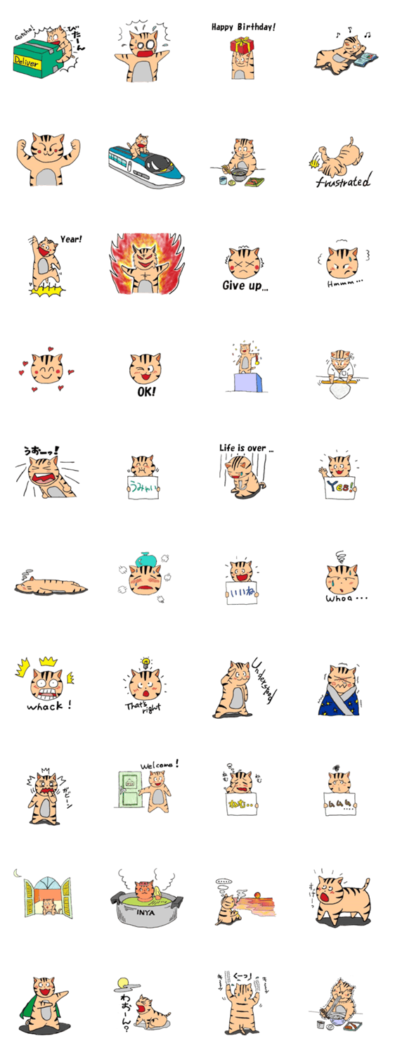 イエネコ　とらぞう　３