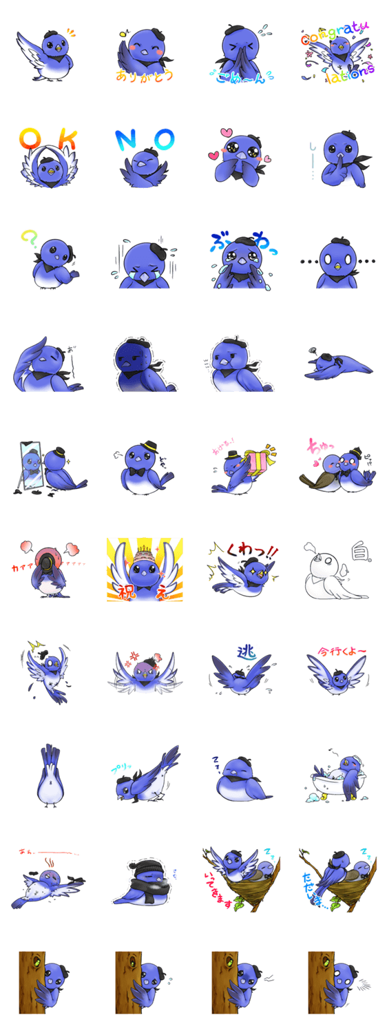 くろえりひたきさん