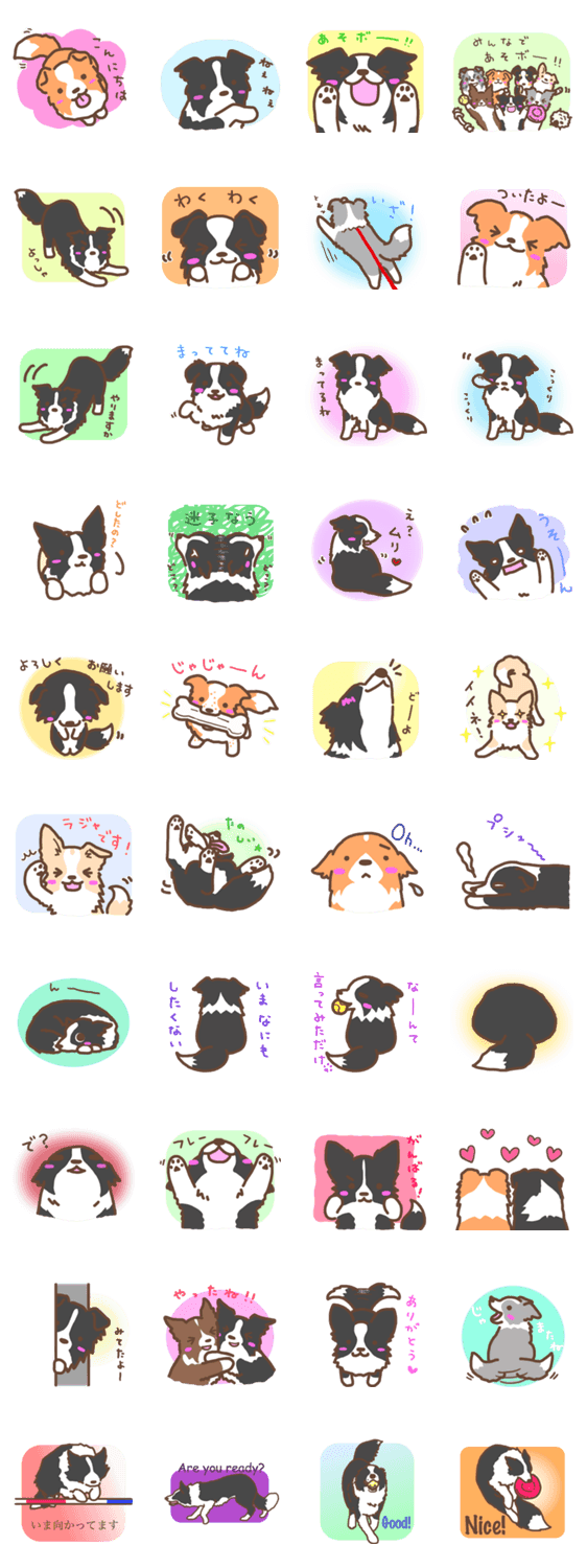 ボダコとあそボー