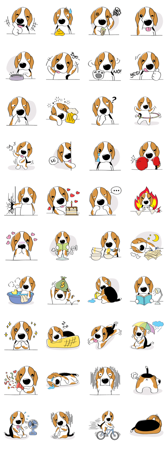 Toffee The Beagle