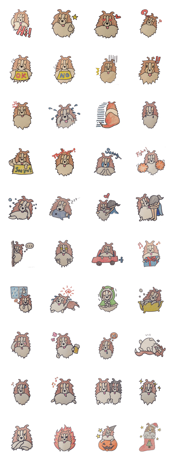 シェルティな日々