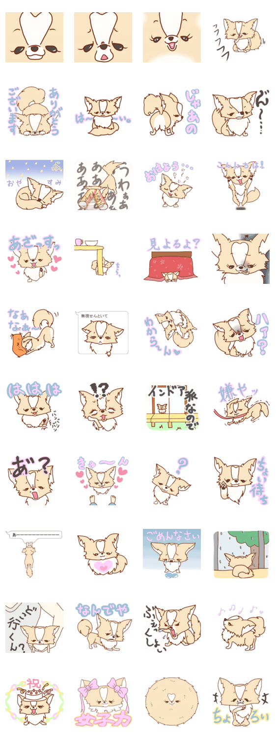 うちのチワワはミント様