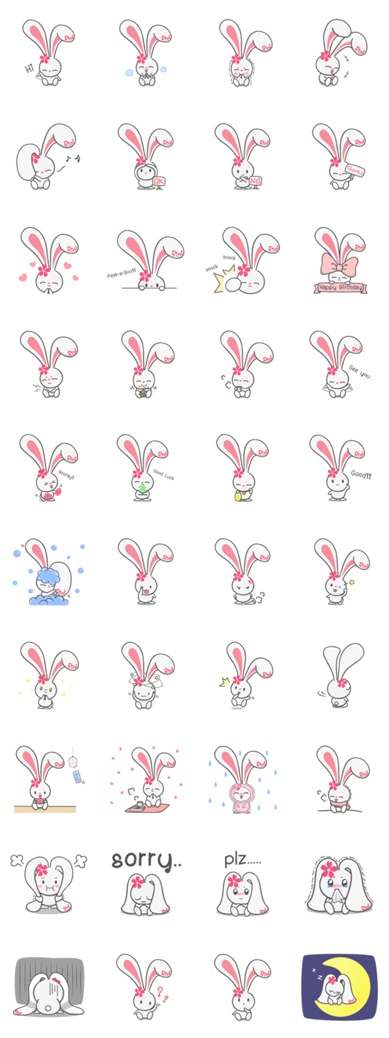 Rini Sakura Rabbit