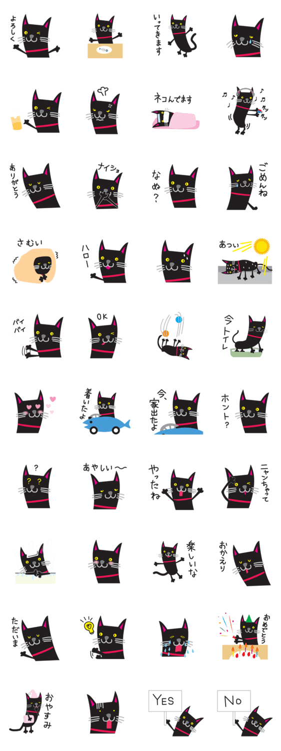 黒猫のマロ
