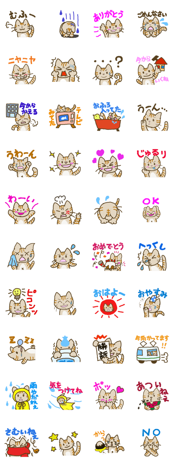 ねこはしましまに限る