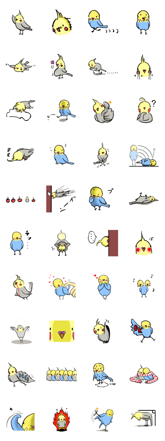 さぁインコですわ