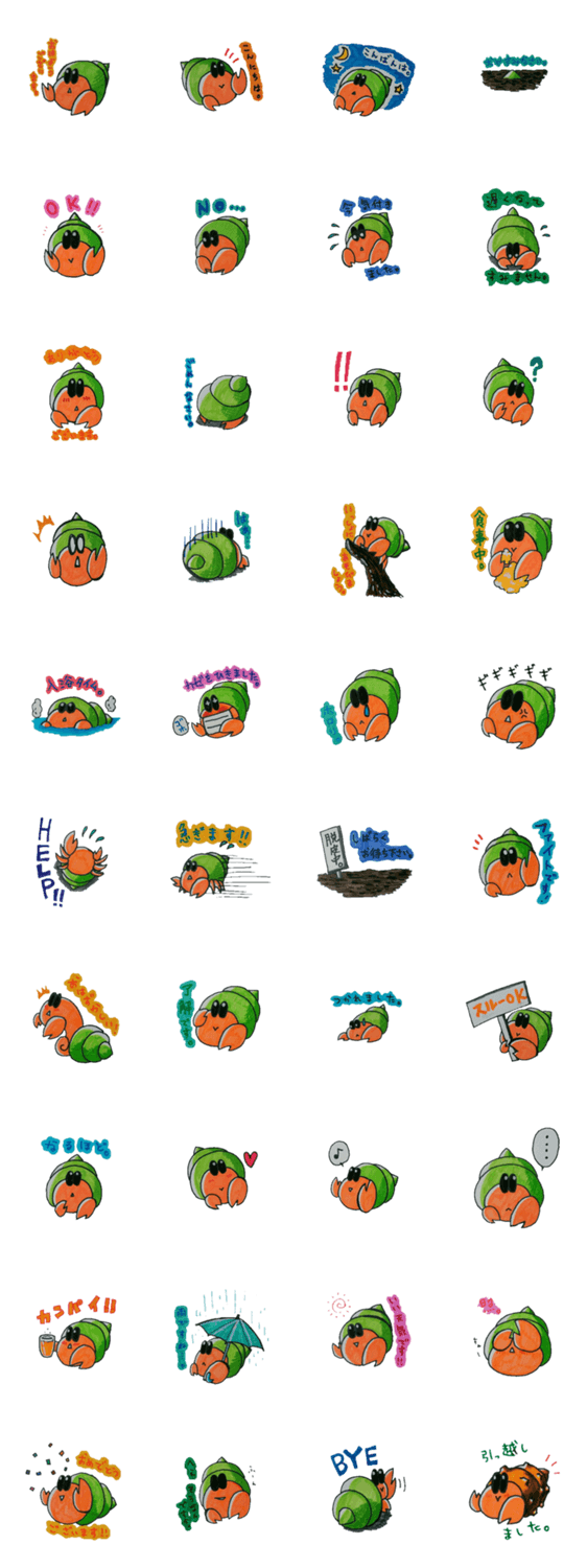 オカヤドカリ　ホームズ