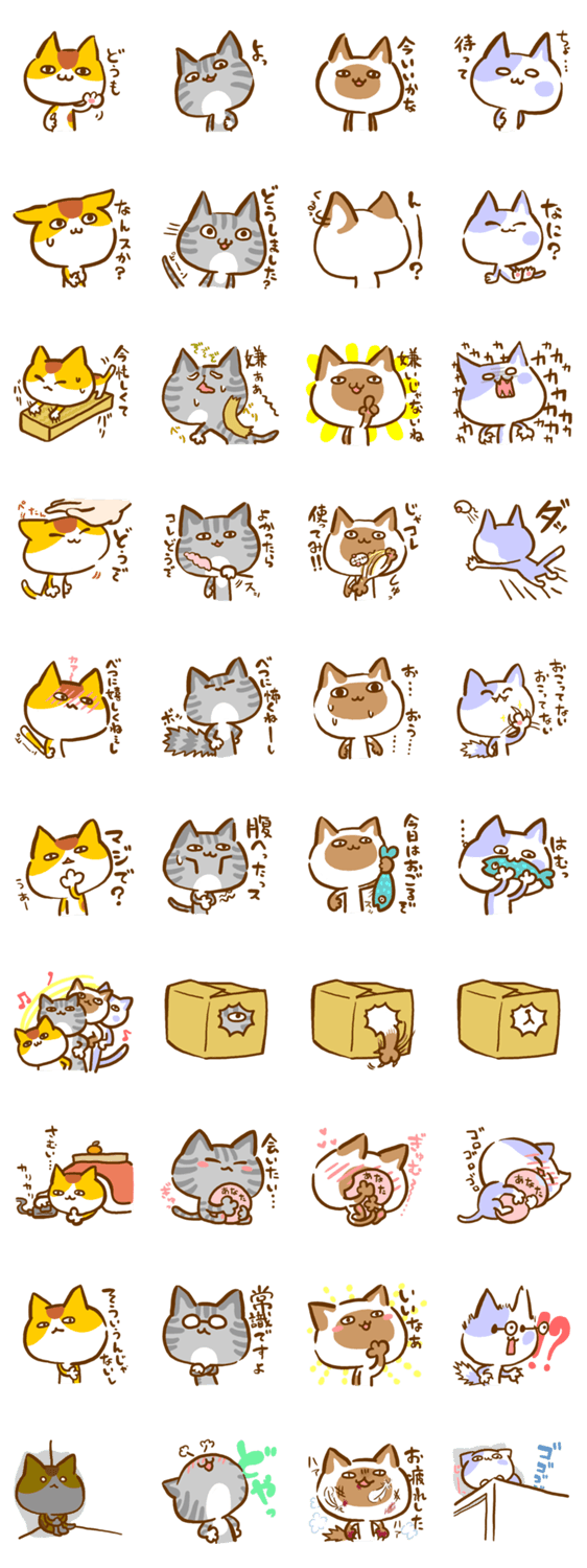 基本的にダルそうな猫