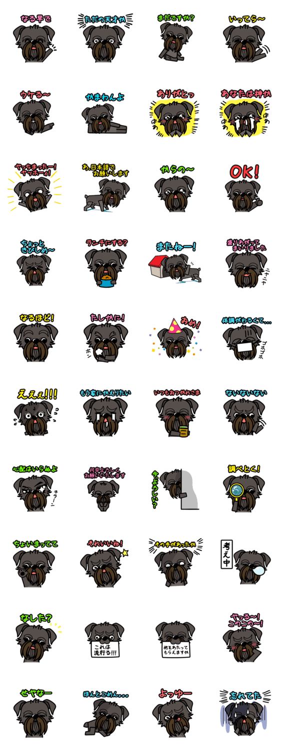 iinu ベルジアン・グリフォン